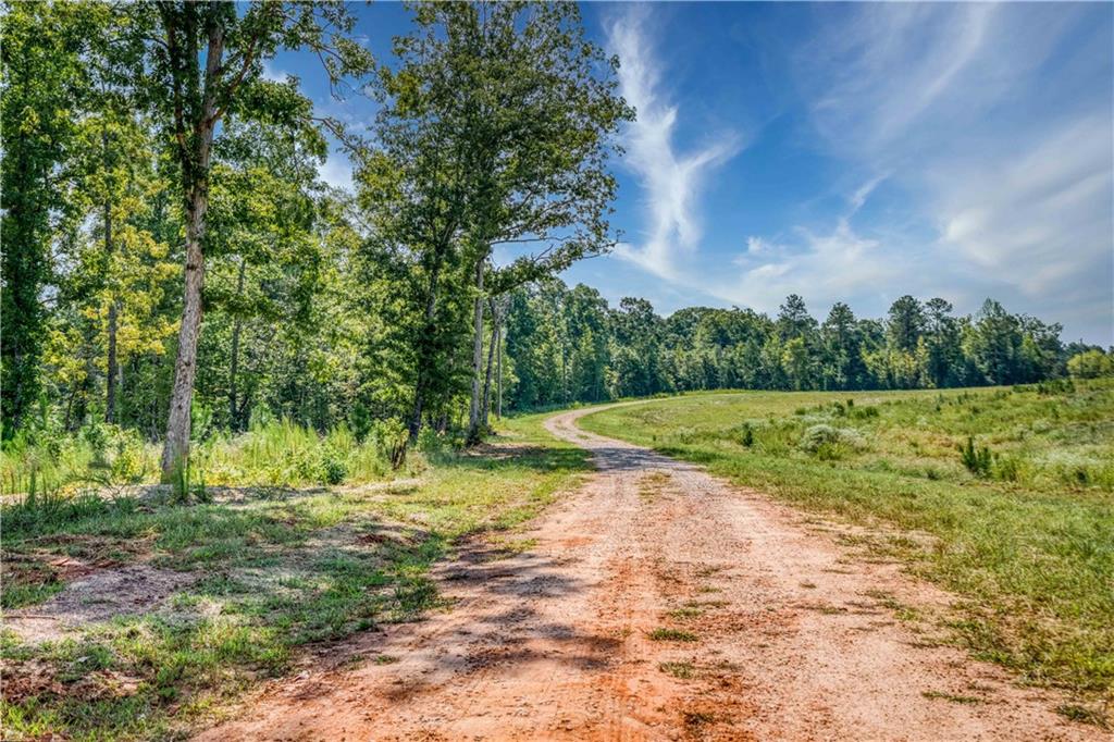 692 Hutchins Wolfskin Road Stephens GA 30667