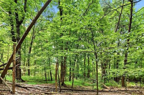 35 Quail Walk Jasper GA 30143