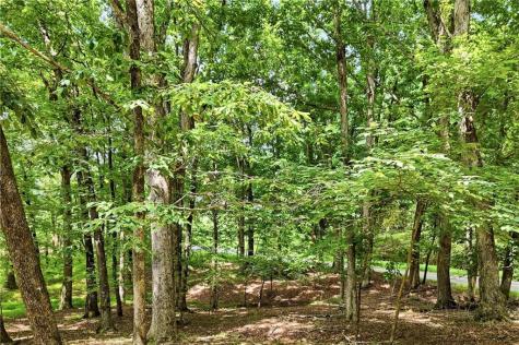 35 Quail Walk Jasper GA 30143