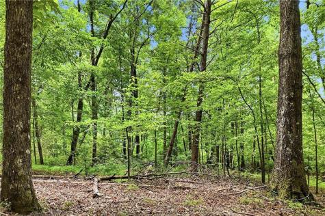 35 Quail Walk Jasper GA 30143