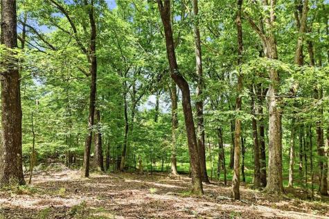 35 Quail Walk Jasper GA 30143