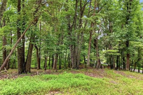 35 Quail Walk Jasper GA 30143