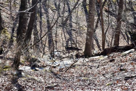 716 Moss Patch Trail Jasper GA 30143