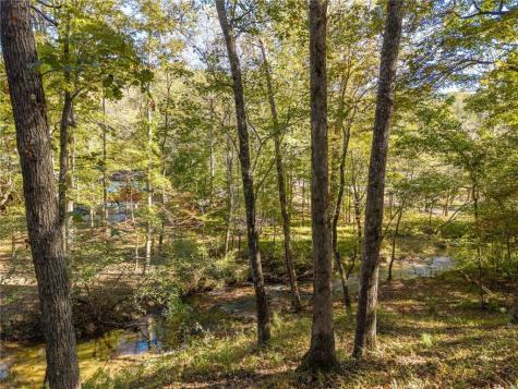 351 Nexus Drive Ellijay GA 30540