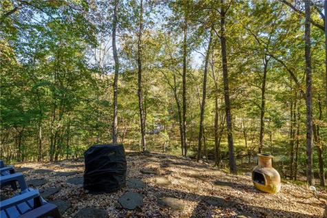 351 Nexus Drive Ellijay GA 30540