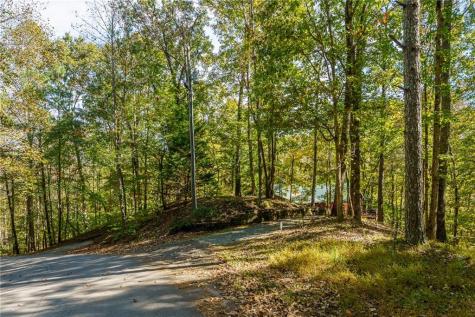 351 Nexus Drive Ellijay GA 30540