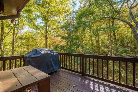 351 Nexus Drive Ellijay GA 30540
