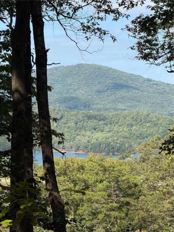 Lot 3 Whiskey Mountain Estates Hiawassee GA 30546