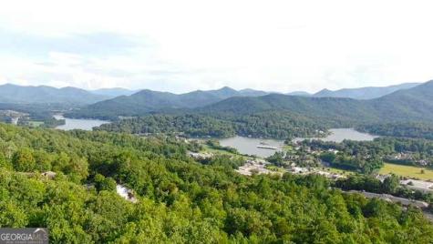 Lot 3 Whiskey Mountain Estates Hiawassee GA 30546