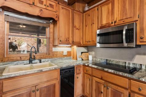 192 Grassy Knob Court Jasper GA 30143