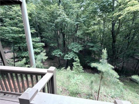 167 Trout Lily Trail Jasper GA 30143