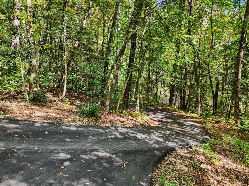 596 Moses Road Rabun Gap GA 30568