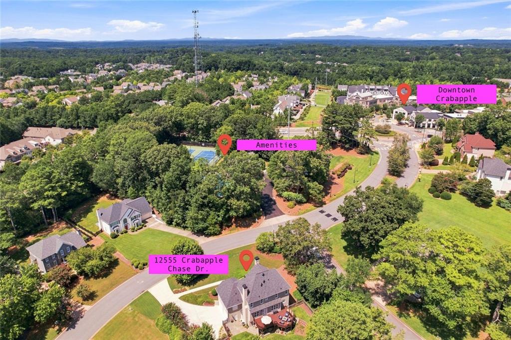 12555 Crabapple Chase Drive Alpharetta GA 30004