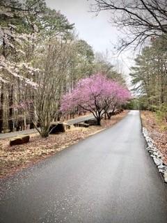 196 Cherokee Drive S Waleska GA 30183