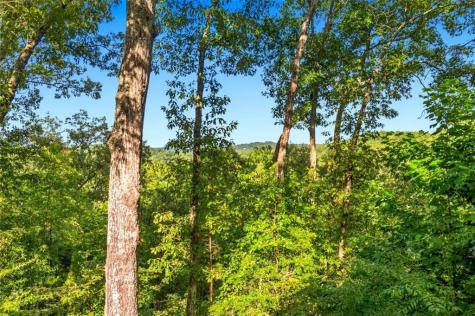 142 Oak Hill Drive Mineral Bluff GA 30559