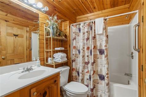 142 Oak Hill Drive Mineral Bluff GA 30559