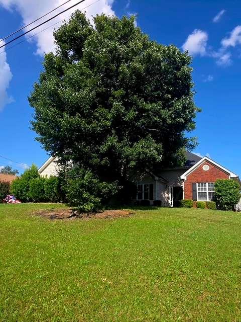 65 Mills Landing Covington GA 30016