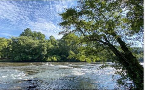 50 W Shalom Court Blue Ridge GA 30513