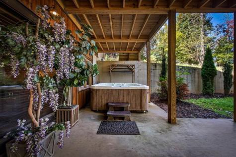 50 W Shalom Court Blue Ridge GA 30513