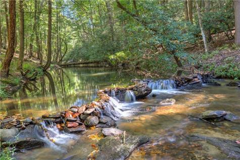 1918 Big Creek Road Cherry Log GA 30522