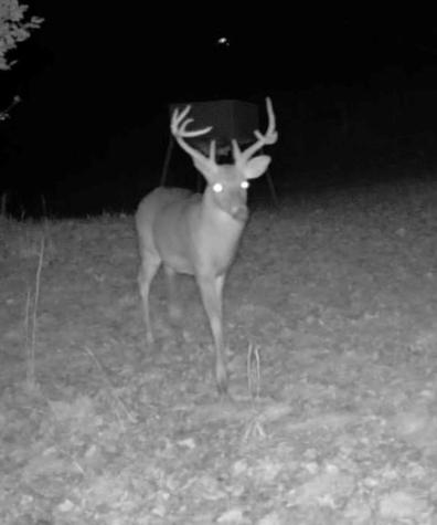 32 Ivey Ridge Road Suches GA 30572