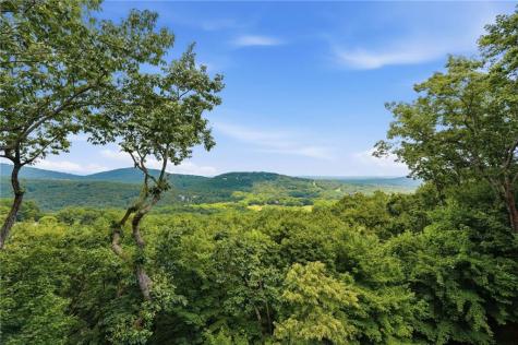 72 Wild Cherry Lane Big Canoe GA 30143