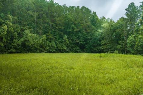 196 Creek Camp Road Ellijay GA 30536