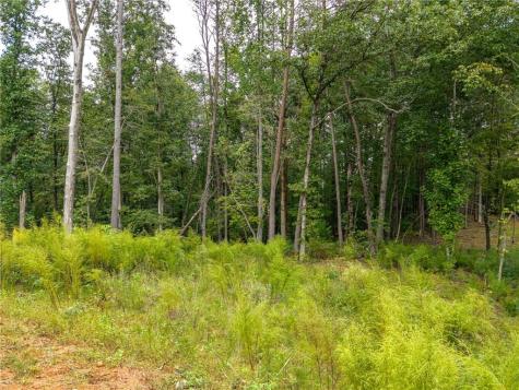 163 Tuscany Drive Ellijay GA 30540