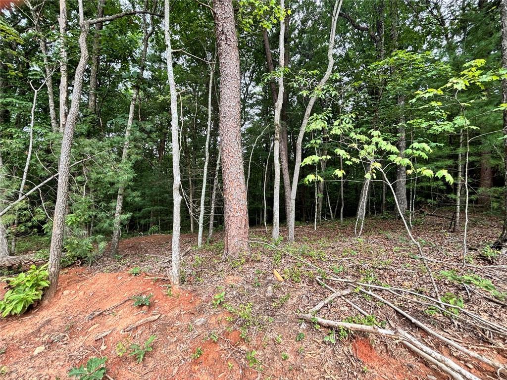 320 East Ridge Ellijay GA 30536