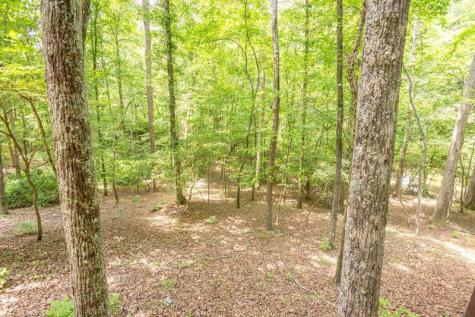 80 Tumbling Waters Lane Ellijay GA 30540