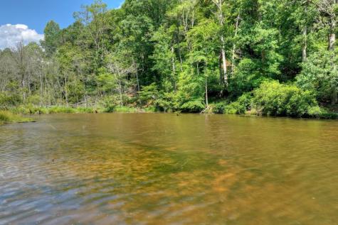 160 Adams Circle Mineral Bluff GA 30559