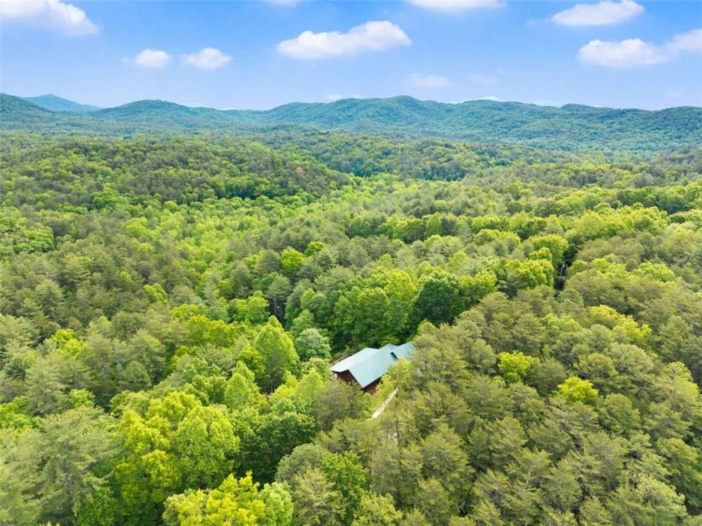 707 S Fern Cove Road S Sautee Nacoochee GA 30571