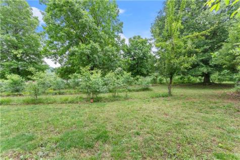 59 Rocket Drive Cleveland GA 30528