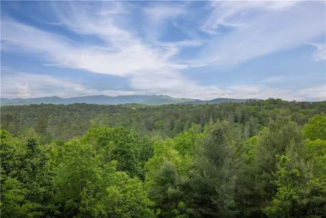 170 Wildwood Court Ellijay GA 30540