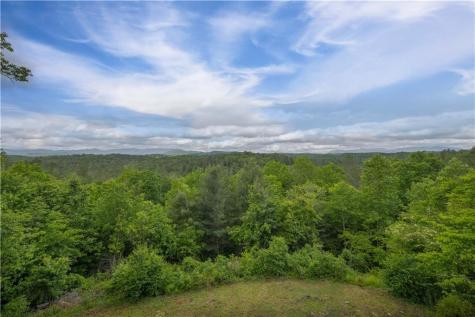 170 Wildwood Court Ellijay GA 30540