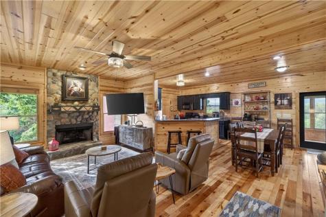 170 Wildwood Court Ellijay GA 30540