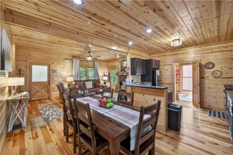 170 Wildwood Court Ellijay GA 30540