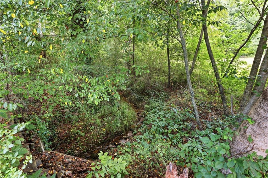 5911 Wauka Valley Pass Clermont GA 30527
