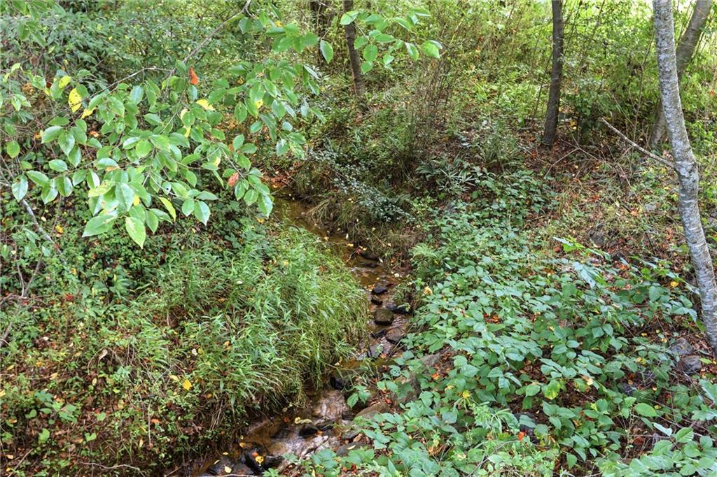 5911 Wauka Valley Pass Clermont GA 30527