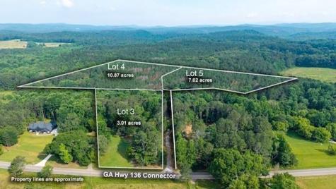 Lot 5 Highway 136 Connector Talking Rock GA 30175