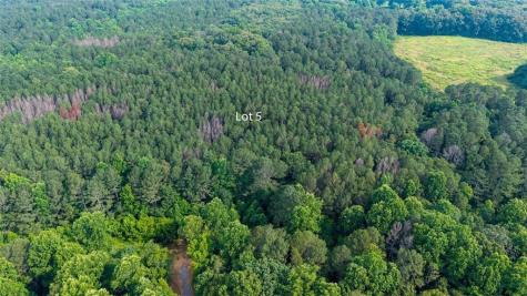 Lot 5 Highway 136 Connector Talking Rock GA 30175
