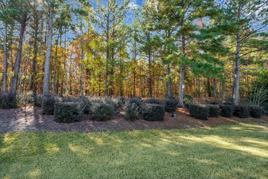 1081 Spring Station Road Greensboro GA 30642