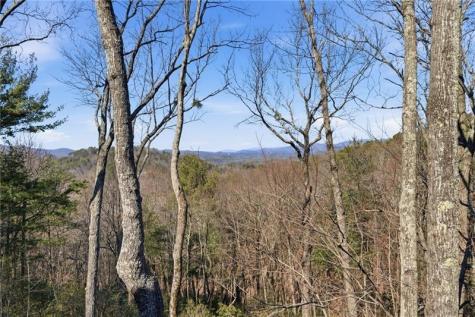 1343 Mcelroy Mountain Drive Jasper GA 30143