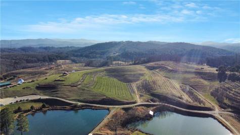 196 Grayson Point Blue Ridge GA 30513