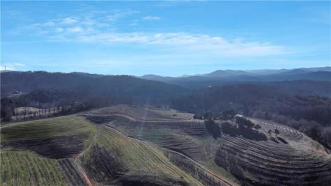196 Grayson Point Blue Ridge GA 30513