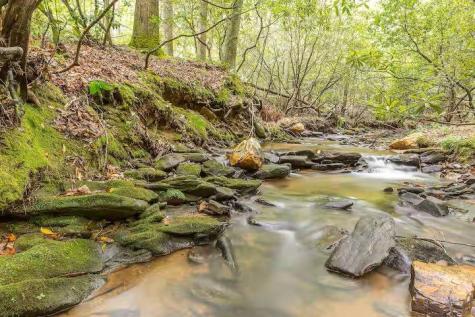 10 Morgan Walk Big Canoe GA 30143