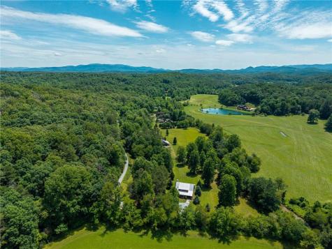 965 Bell Road Mineral Bluff GA 30559