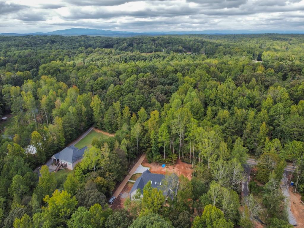 7405 Nicholson Road Cumming GA 30028