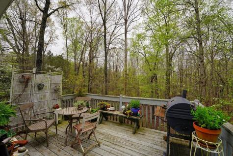 55 Chuck Road Talking Rock GA 30175