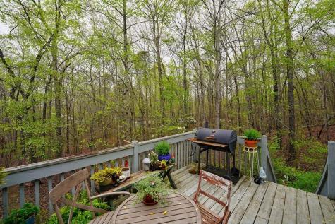 55 Chuck Road Talking Rock GA 30175
